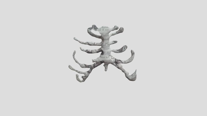 pro 2 skeleton 3D Model