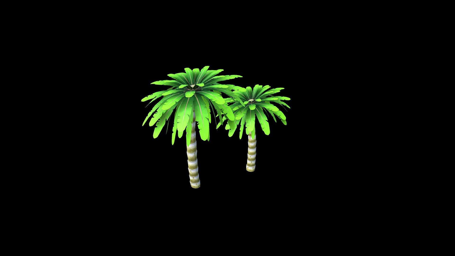 Palmeras