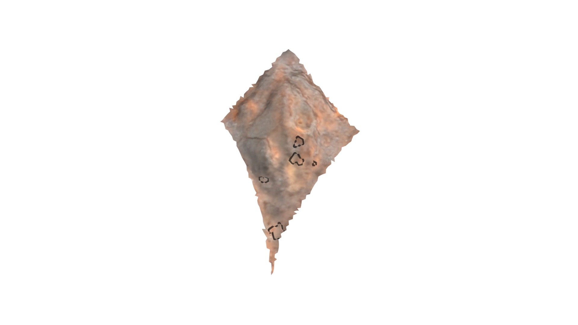 D8 - aurochs MNIR