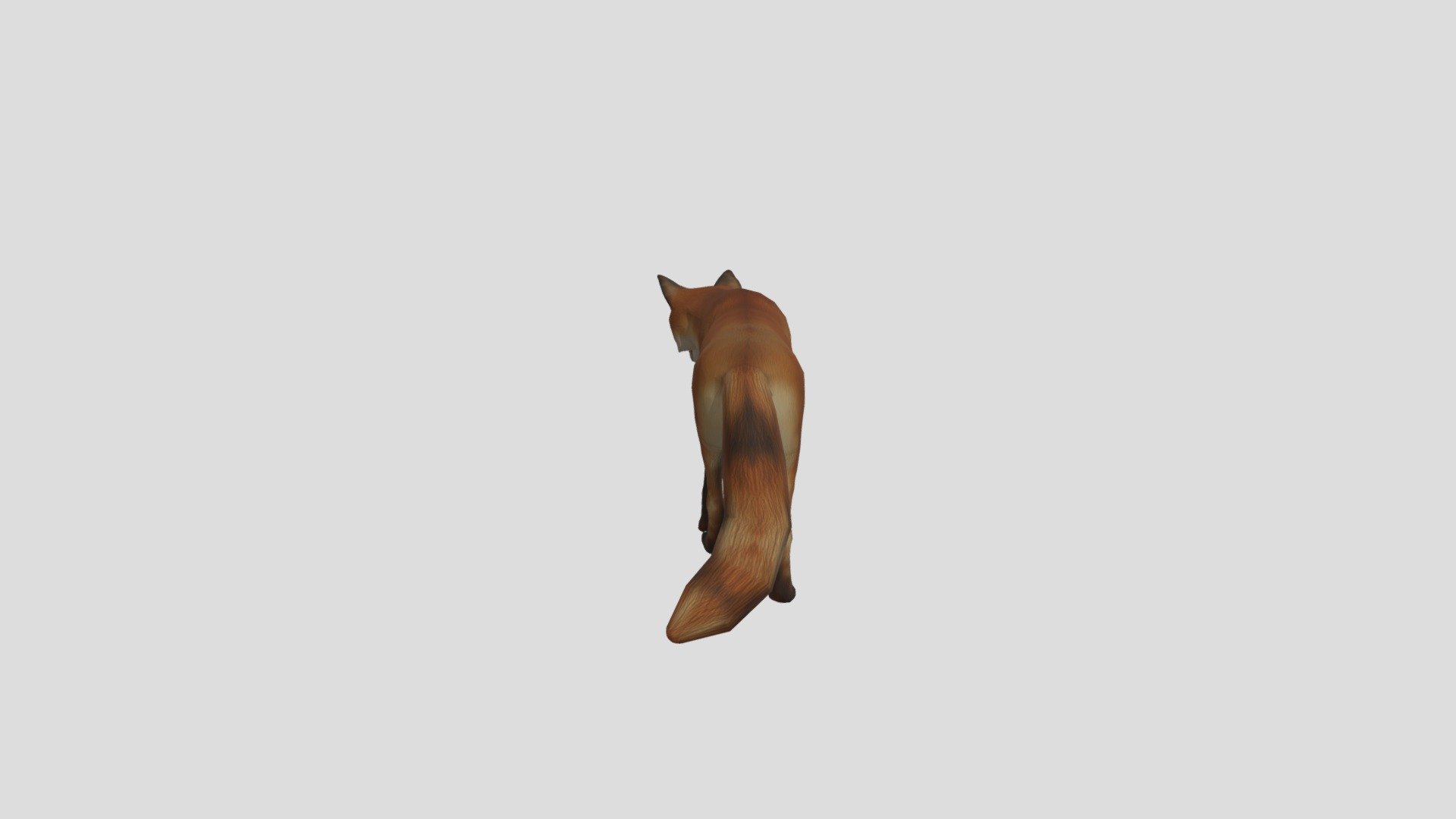 FOX - 3D model by jhKim (@2015212077) [8b7c454] - Sketchfab