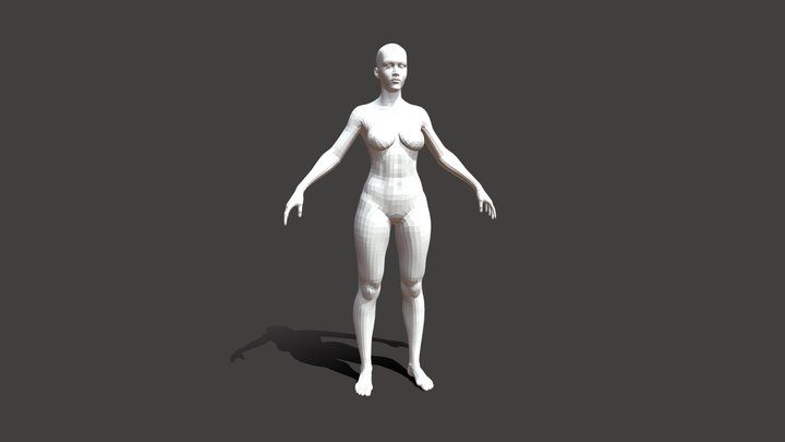 Female Basemeshes, low & high poly, rigged 3D Model