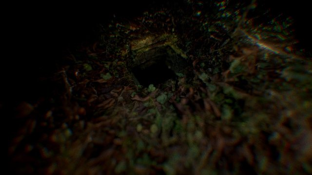 Hole In Ground