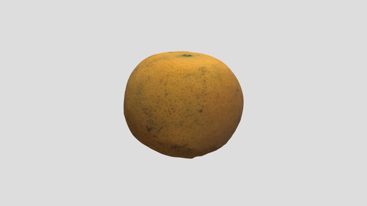 C5_Cream_WK_2A_Small 3D Model