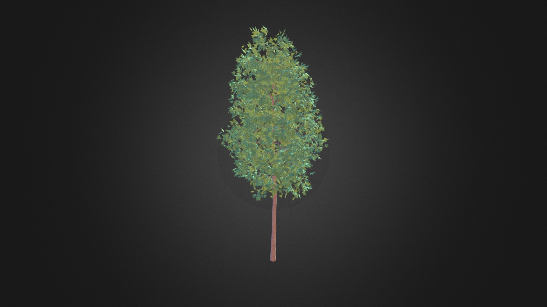 3D model American Sweetgum 3D Model 2.3m - This is a 3D model of the American Sweetgum 3D Model 2.3m. The 3D model is about a green and red tree.