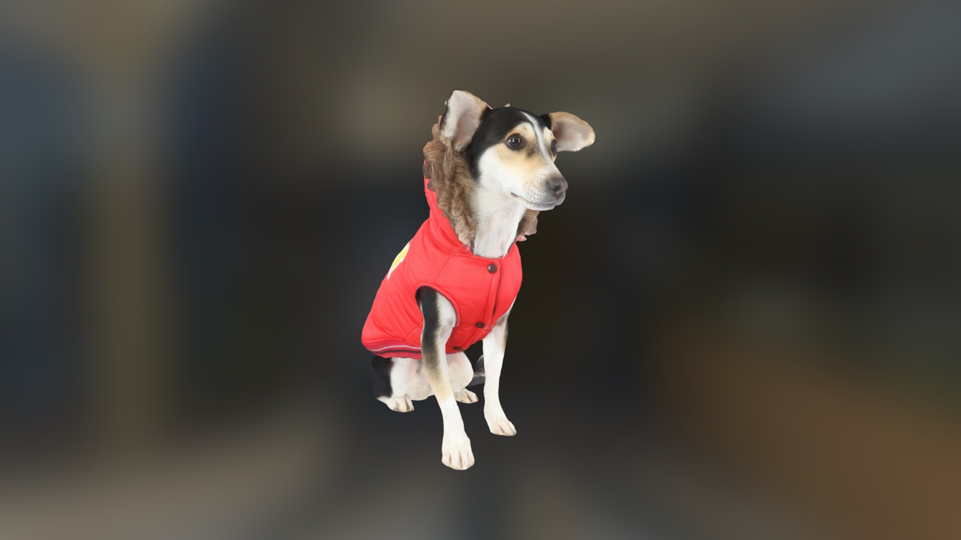 3D model MAX - This is a 3D model of the MAX. The 3D model is about a dog wearing a red shirt.