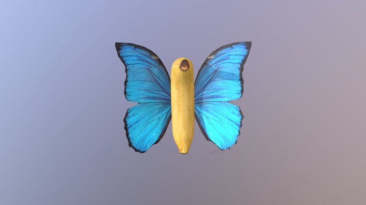 Banana Fly Animation 2 3D Model