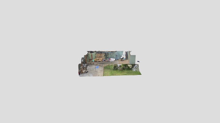 Back yard
