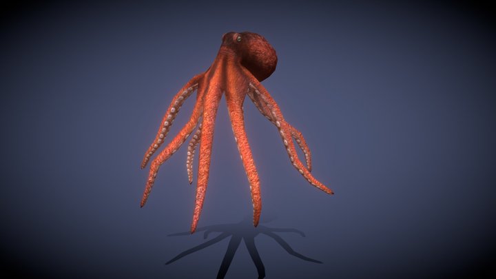 Sealife - Octopus 3D Model