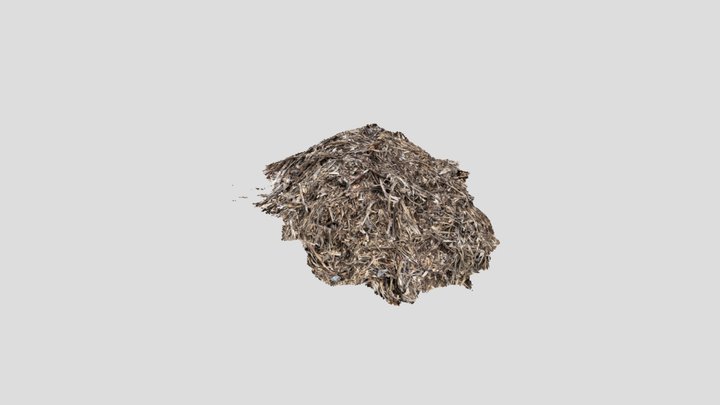 wood chips - MTSU ANIMATION – Free 3D Model STL