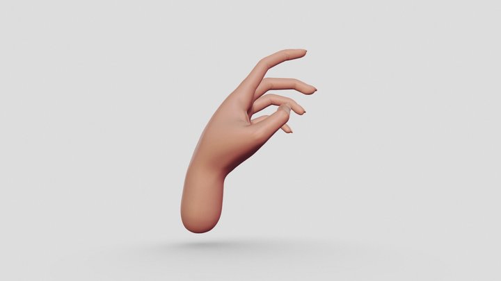 Hand 3D Model