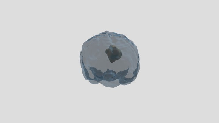 Segmentation 3D Model