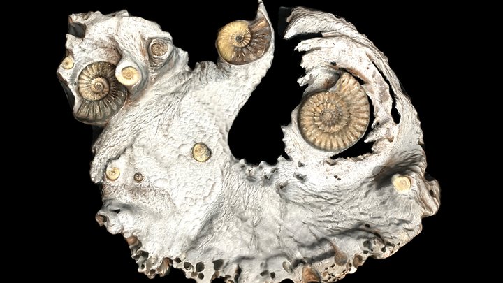 Jurassic Storm 3D Model