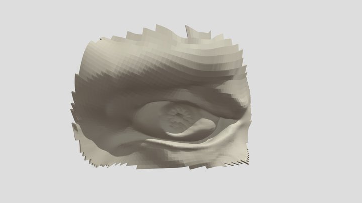 ONLY EYE of a MAN 3D Model