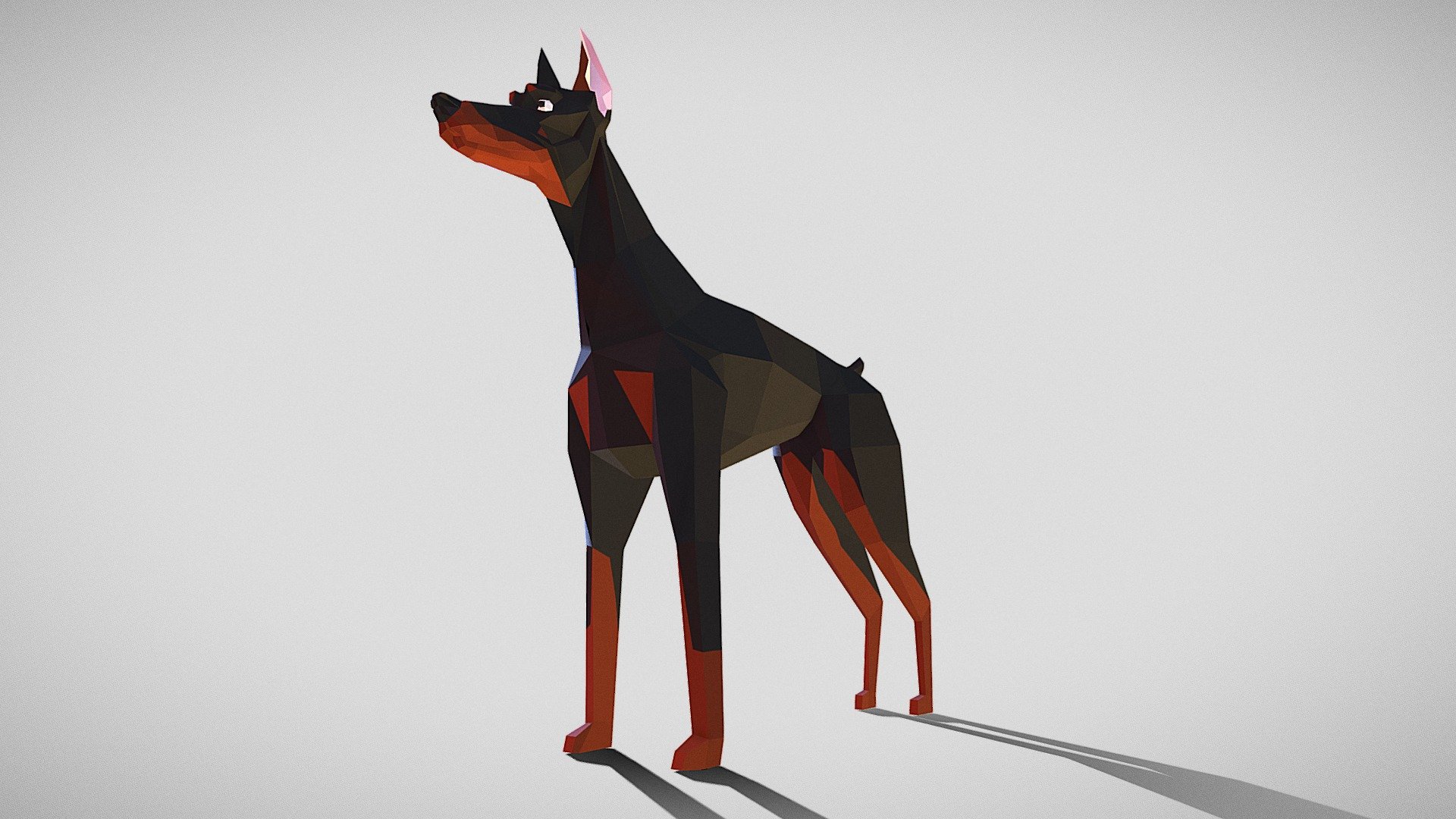 Doberman