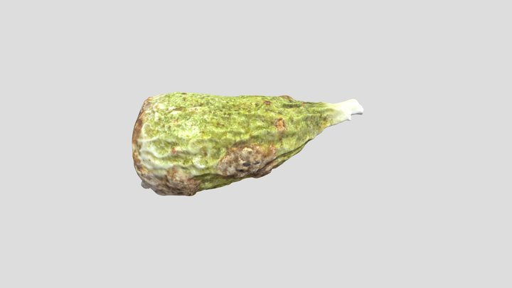 Gum Tree Seed - Photogrammetry 3D Model