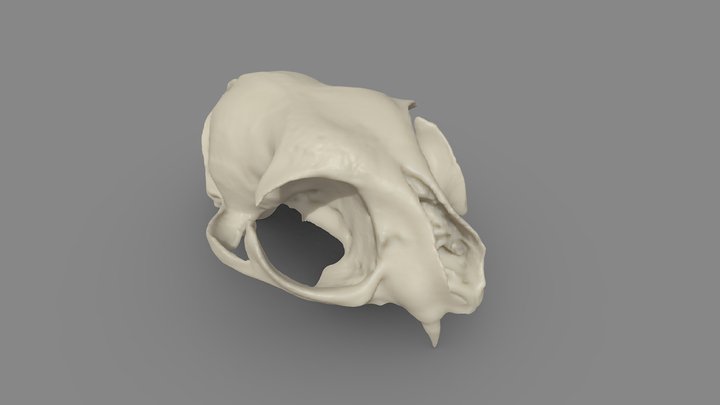 cat inspire 2 scan test – Modelo 3D gratuito STL