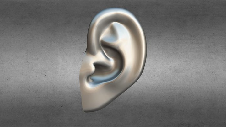 Ear - Delicate 3D Model