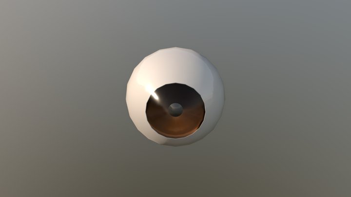 Eye Mesh 3D Model