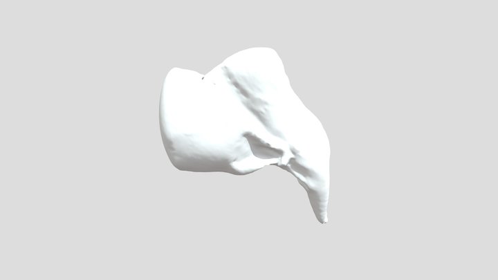 jeu__avr__27_10_14_05_2023_GMT_obj 3D Model