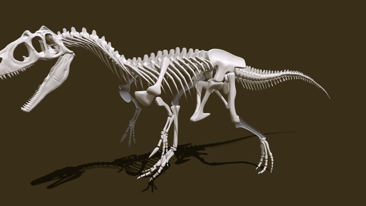 Full Allosaurus skeleton 3D Model