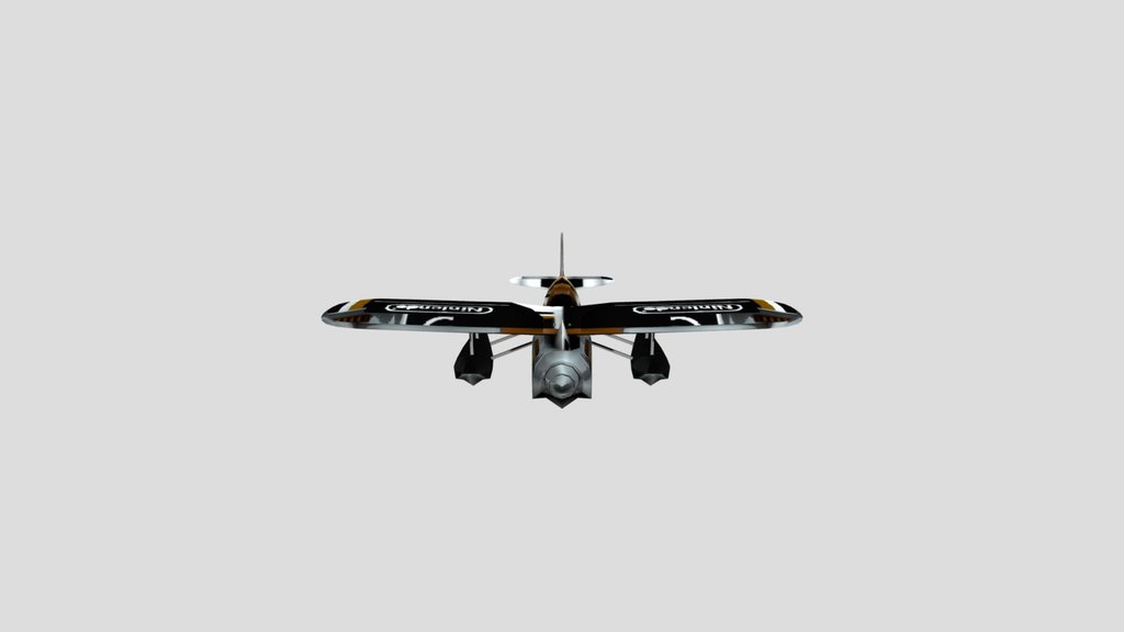 Wii Sports Plane