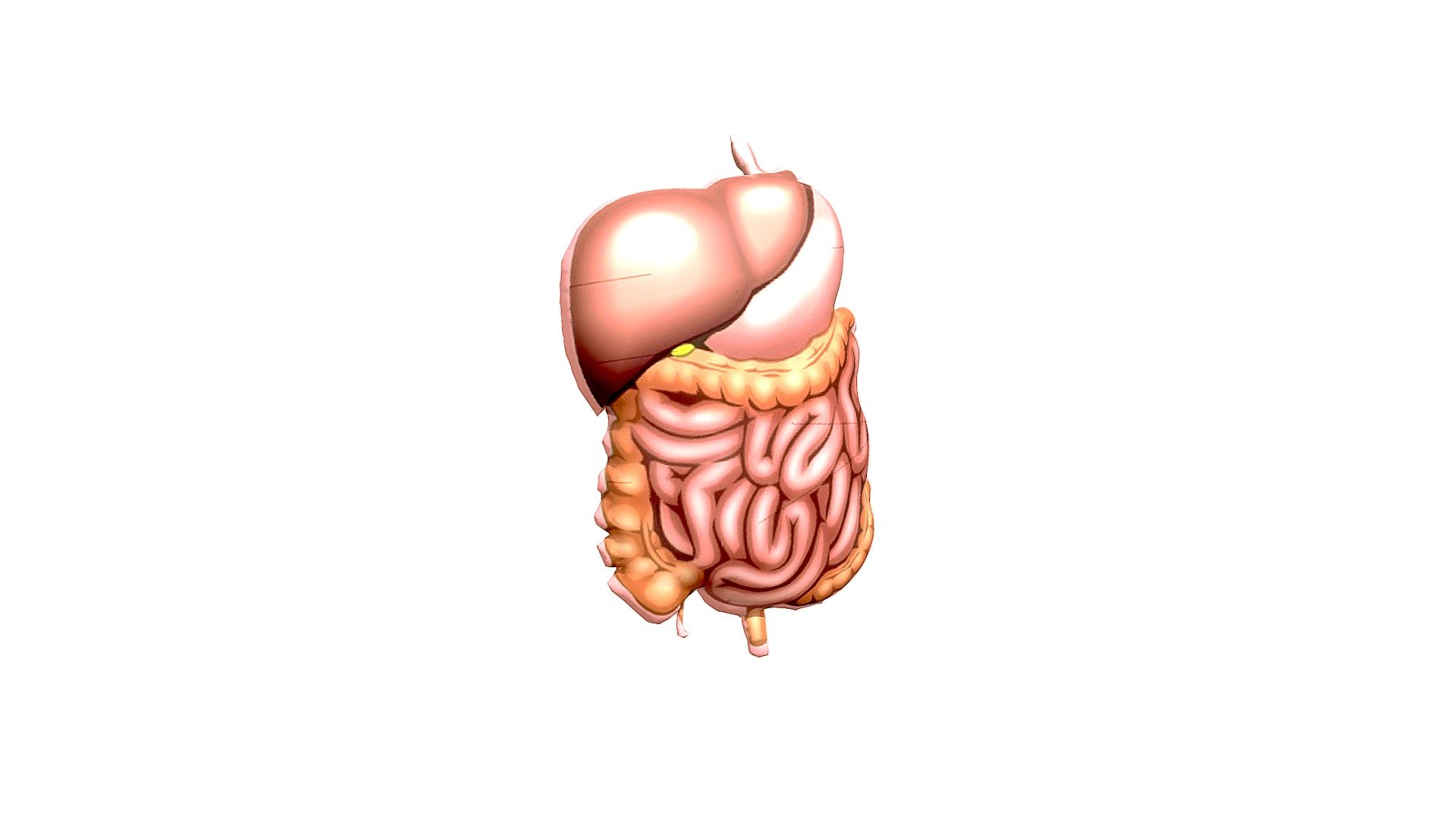 3d model 1