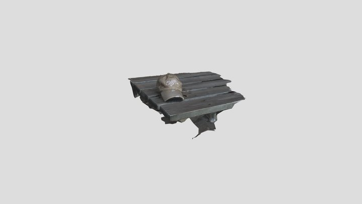 hat08 3D Model