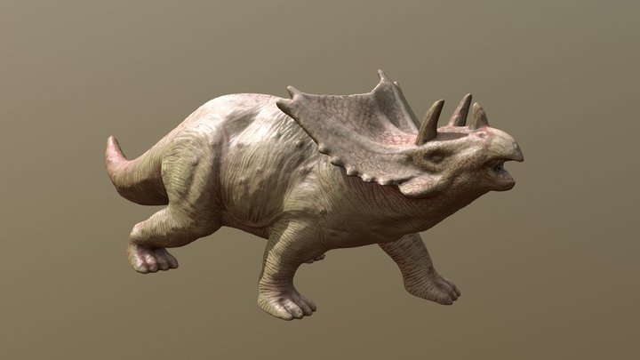 Toy Triceritops 3D Model