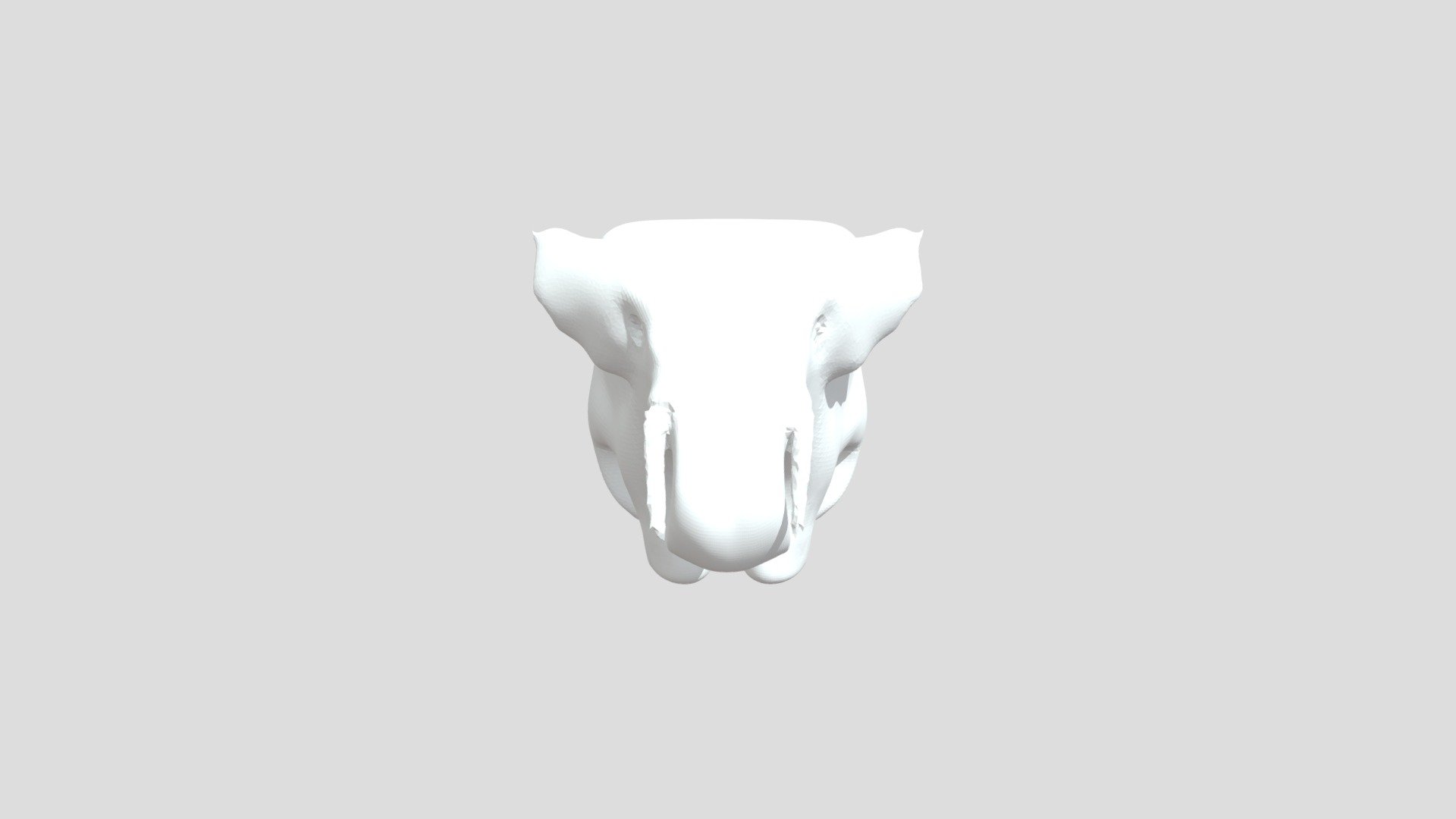 Williams0308elephant02