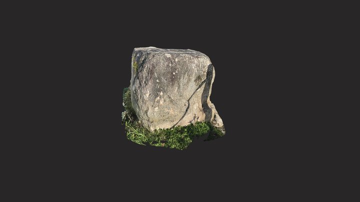 Tremenheere Stone 3D Model