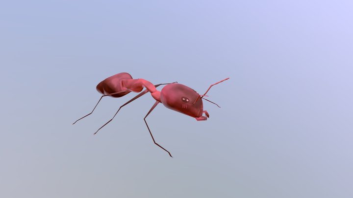o(=•ェ•=)m 3D Model