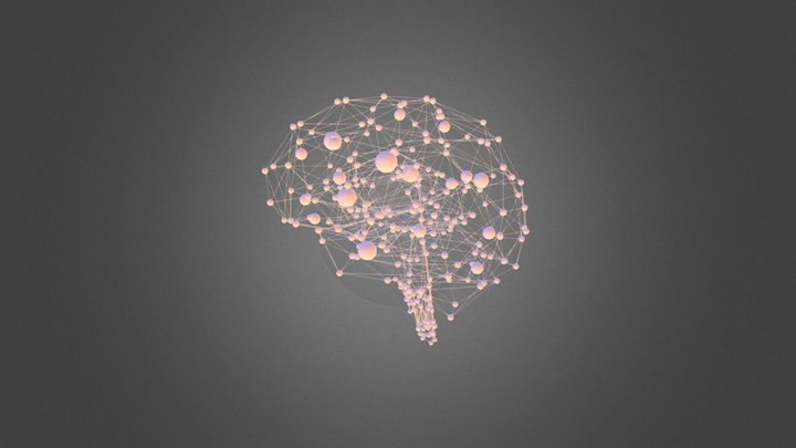 Brain 01 3D Model