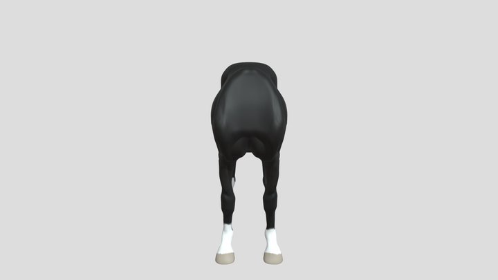 fb horse 3D Model