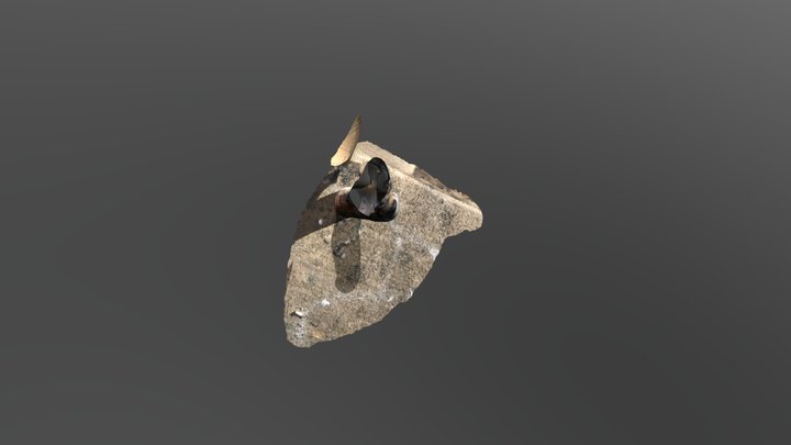 A TRNIO Model 3D Model