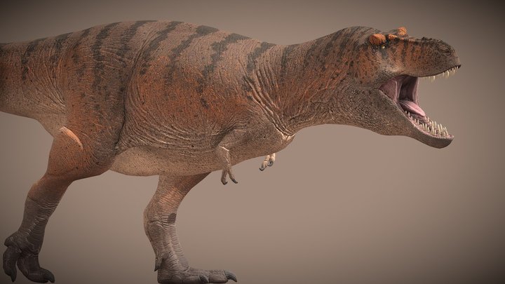 Tyrannosaurus Rex – Kostenloses 3D-Modell STL