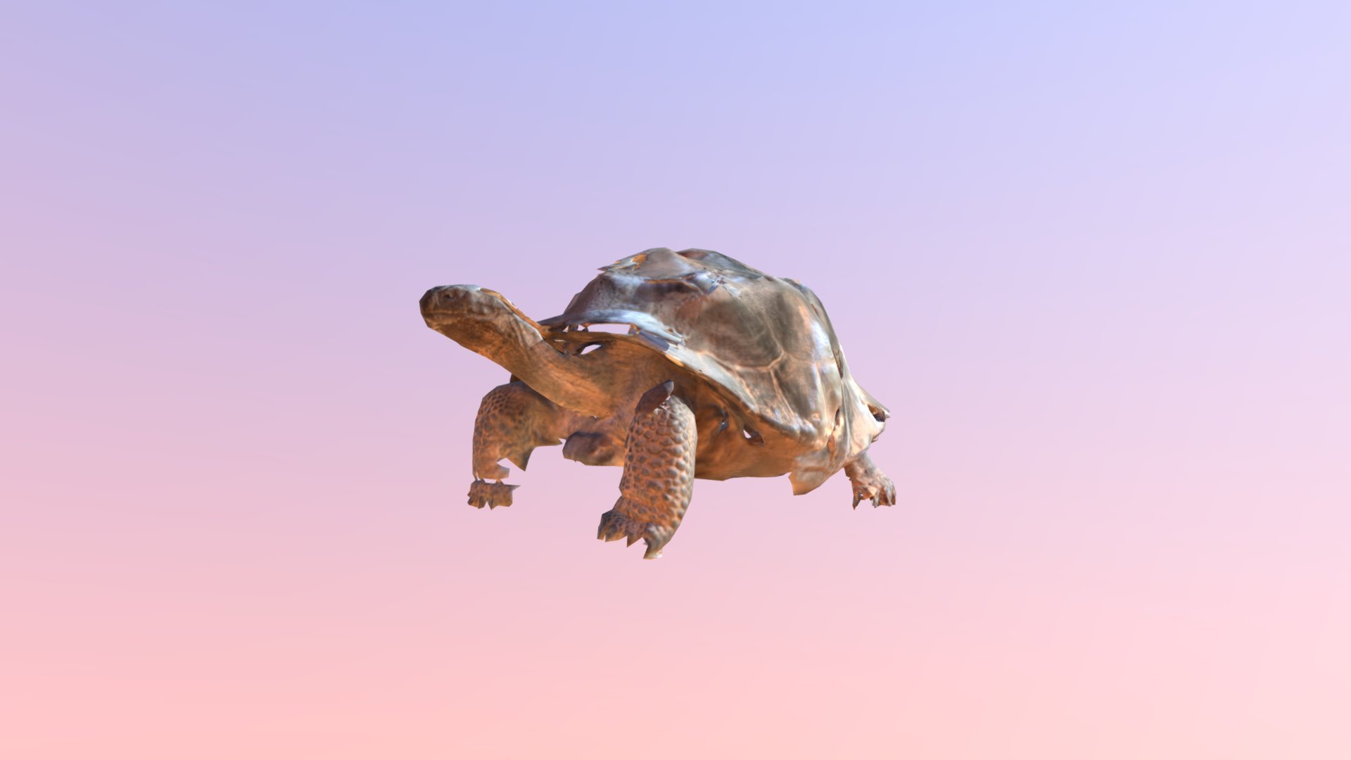 Giant Turtle 2