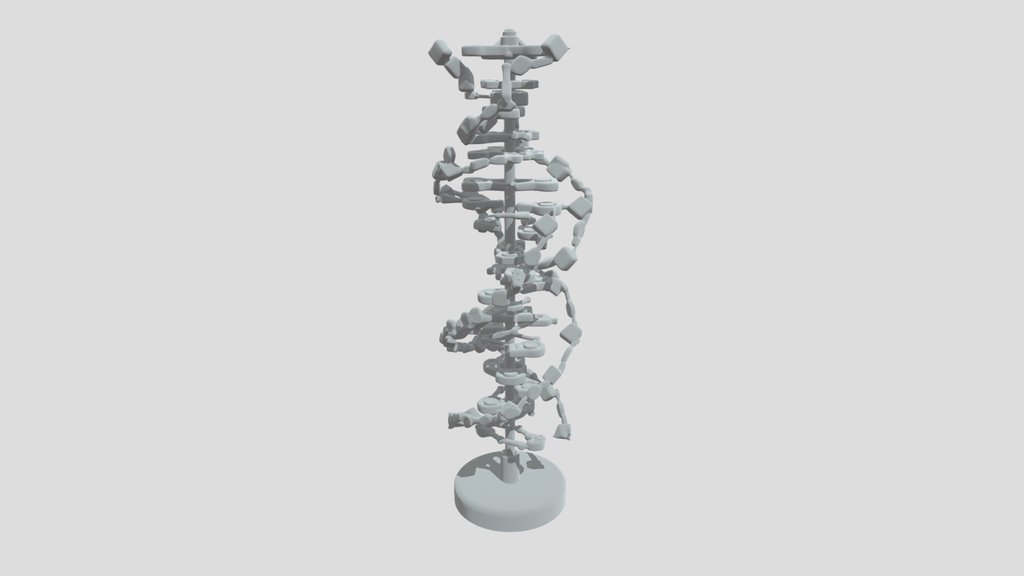 DNA Foot Model (3D)