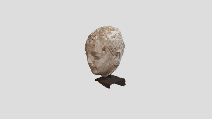 Buddha Head (Test) 3D Model
