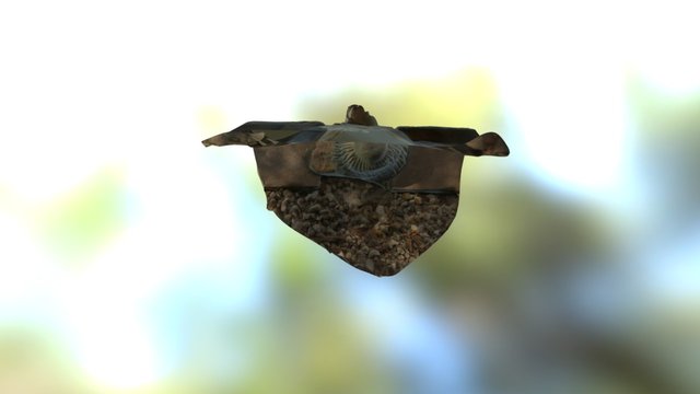 Street Head Better 3D Model