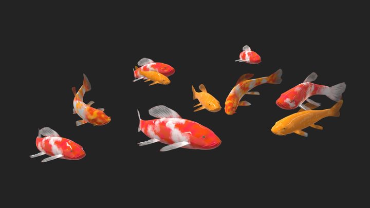Koi Fish