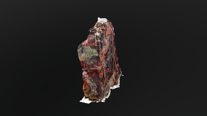 Garnet (Rough Draft) 3D Model