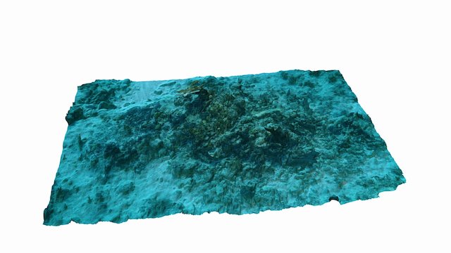 Coral Reef Outcrop 3D Model