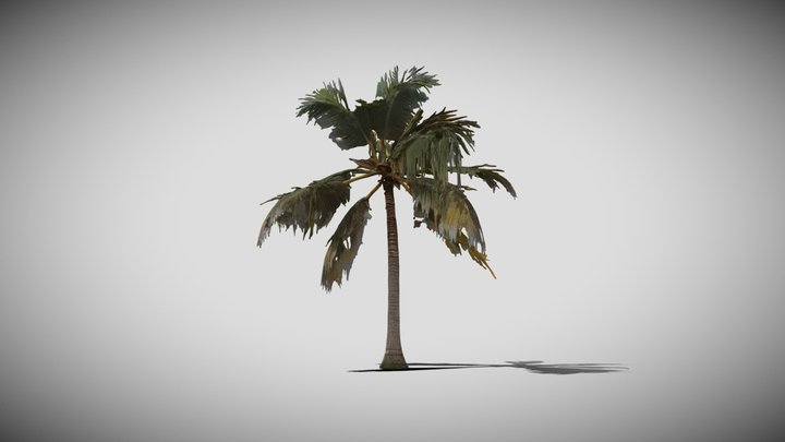 Low Poly Coconut 3D Model Game Ready 3D Model