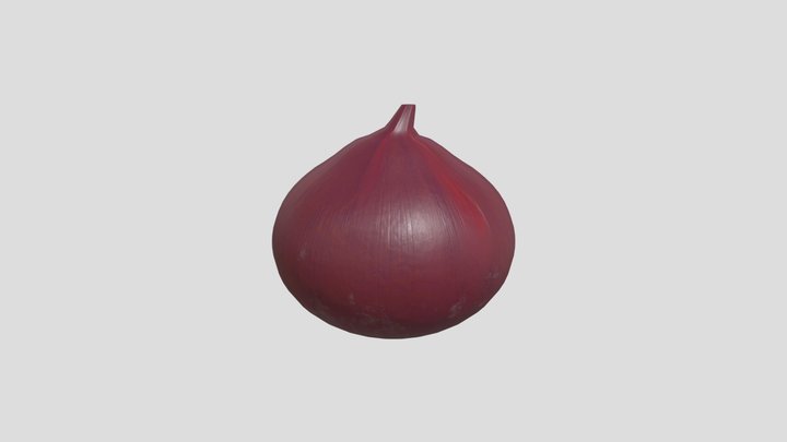 Onion 3D Model