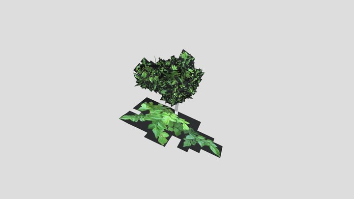 Treee 3D Model