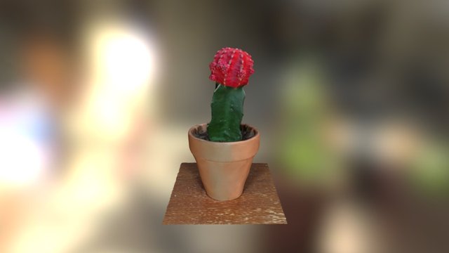 Red Cactus 3D Model