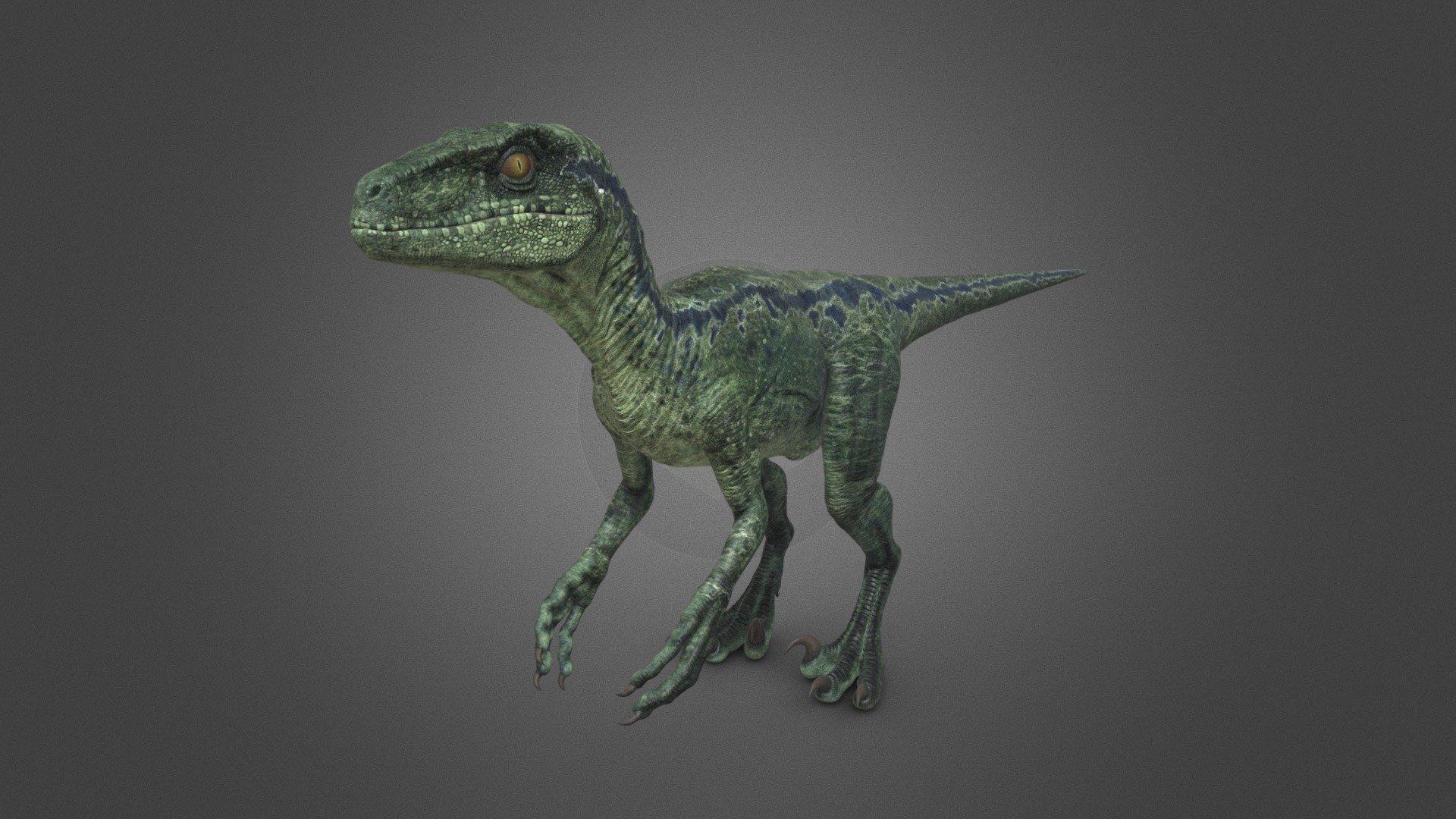 Raptor - 3D model by tanxiaobo (@tanxiaobob) [8bd5d8d] - Sketchfab