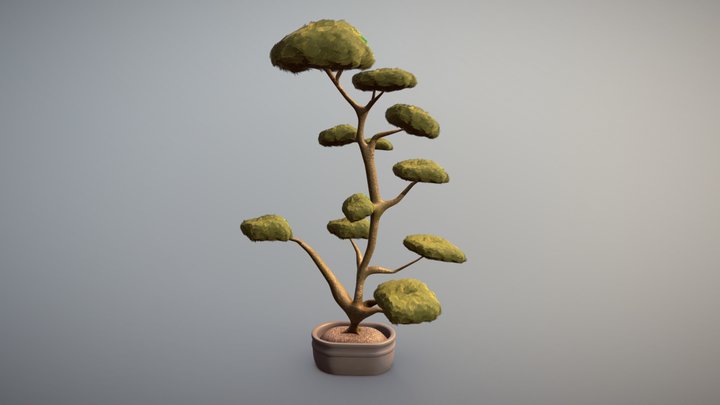 Bonsai Tree - Sketchfab Weekly 3D Model