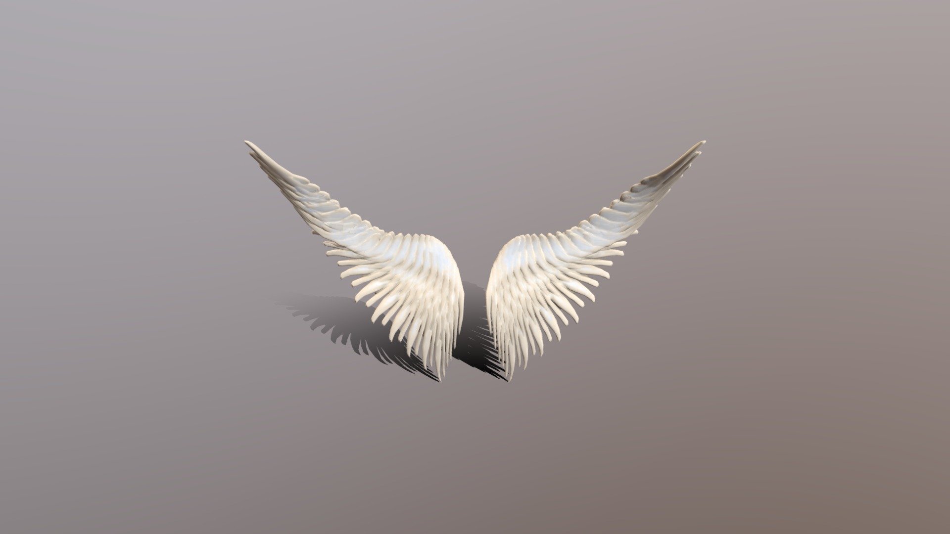 wings 3d render