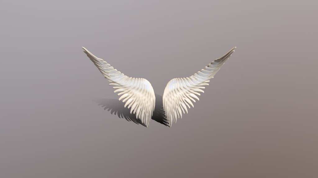 Wings